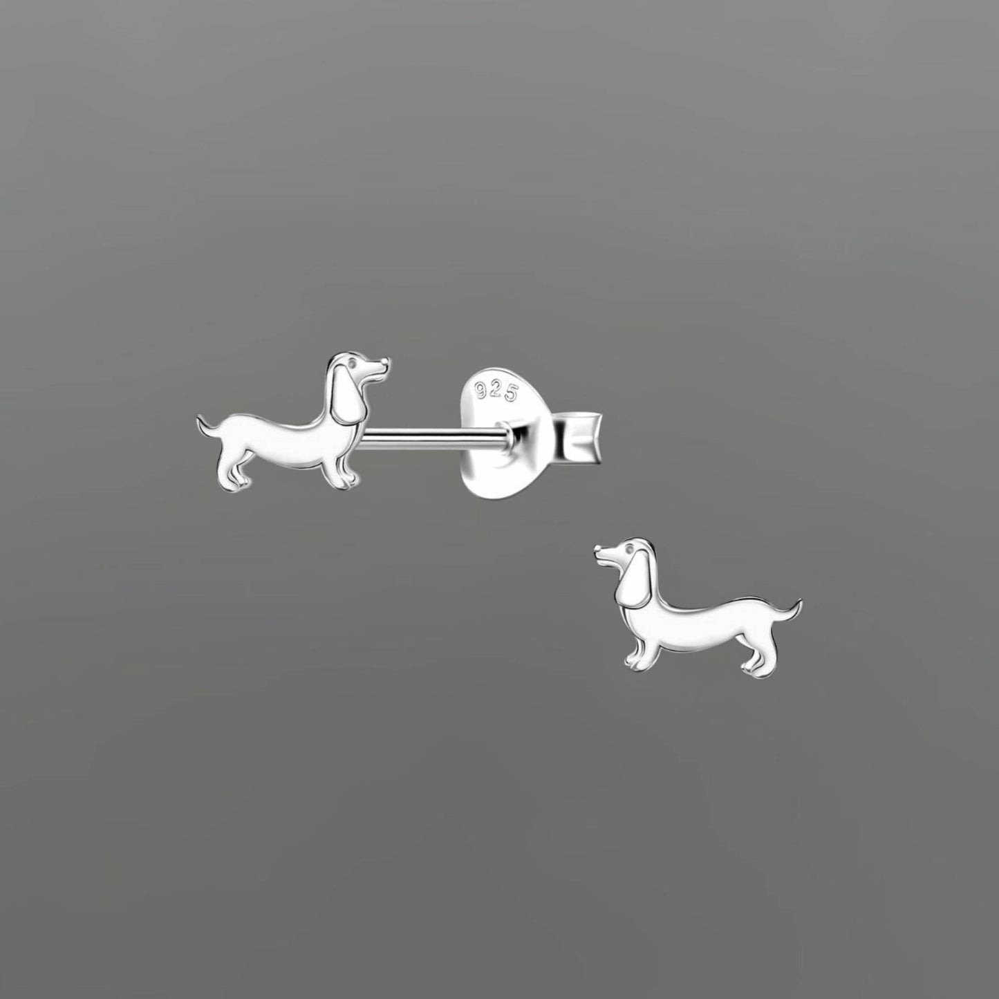 Mini Dachshund Dog Studs