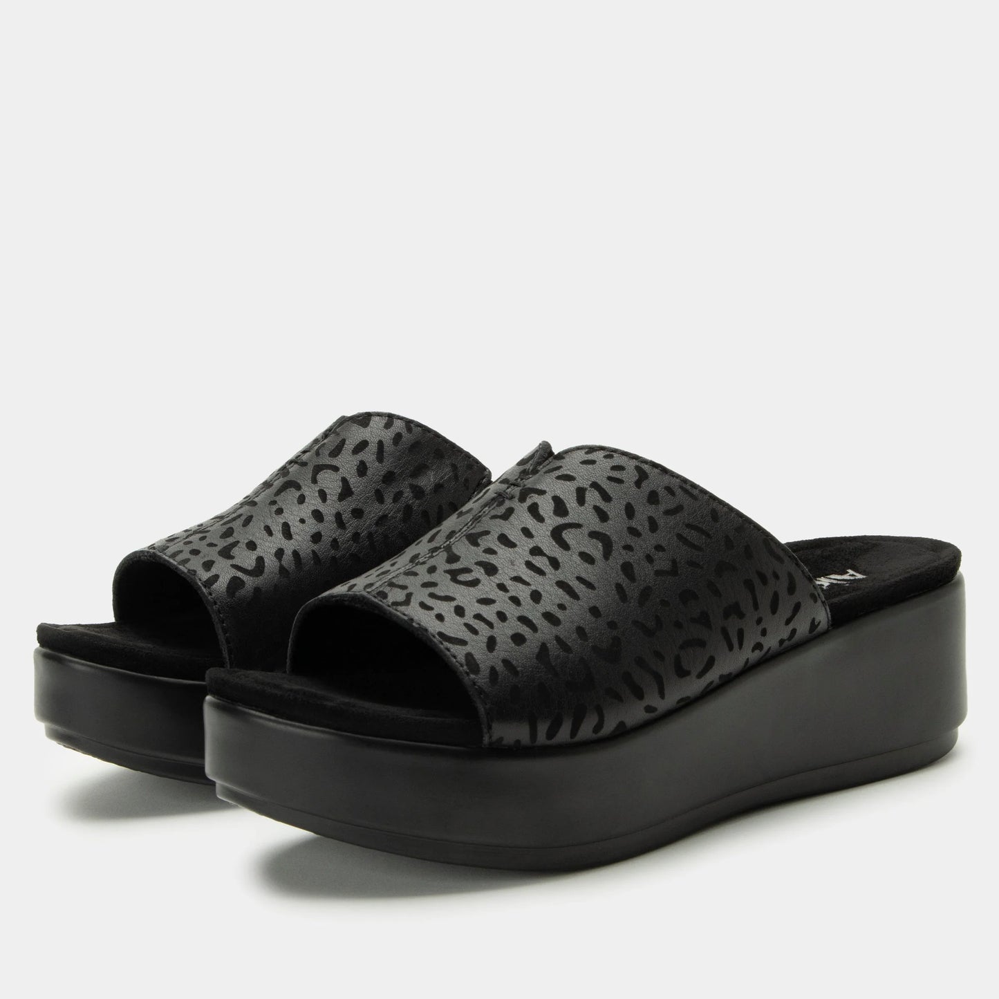 CLEARANCE - Alegria - Triniti