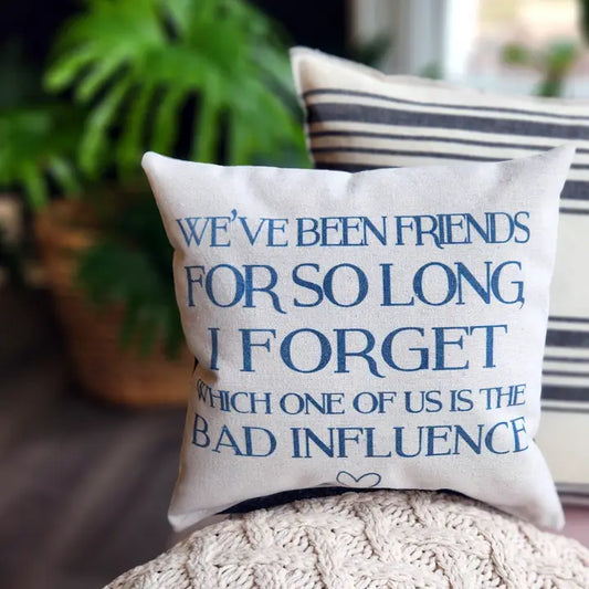 Wit & wisdom tiny pillow- Old Friends