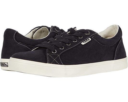 CLEARANCE - Taos - Starsky
