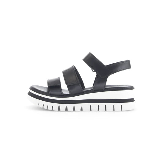 CLEARANCE - Gabor - 64.620.2- 3 Strap