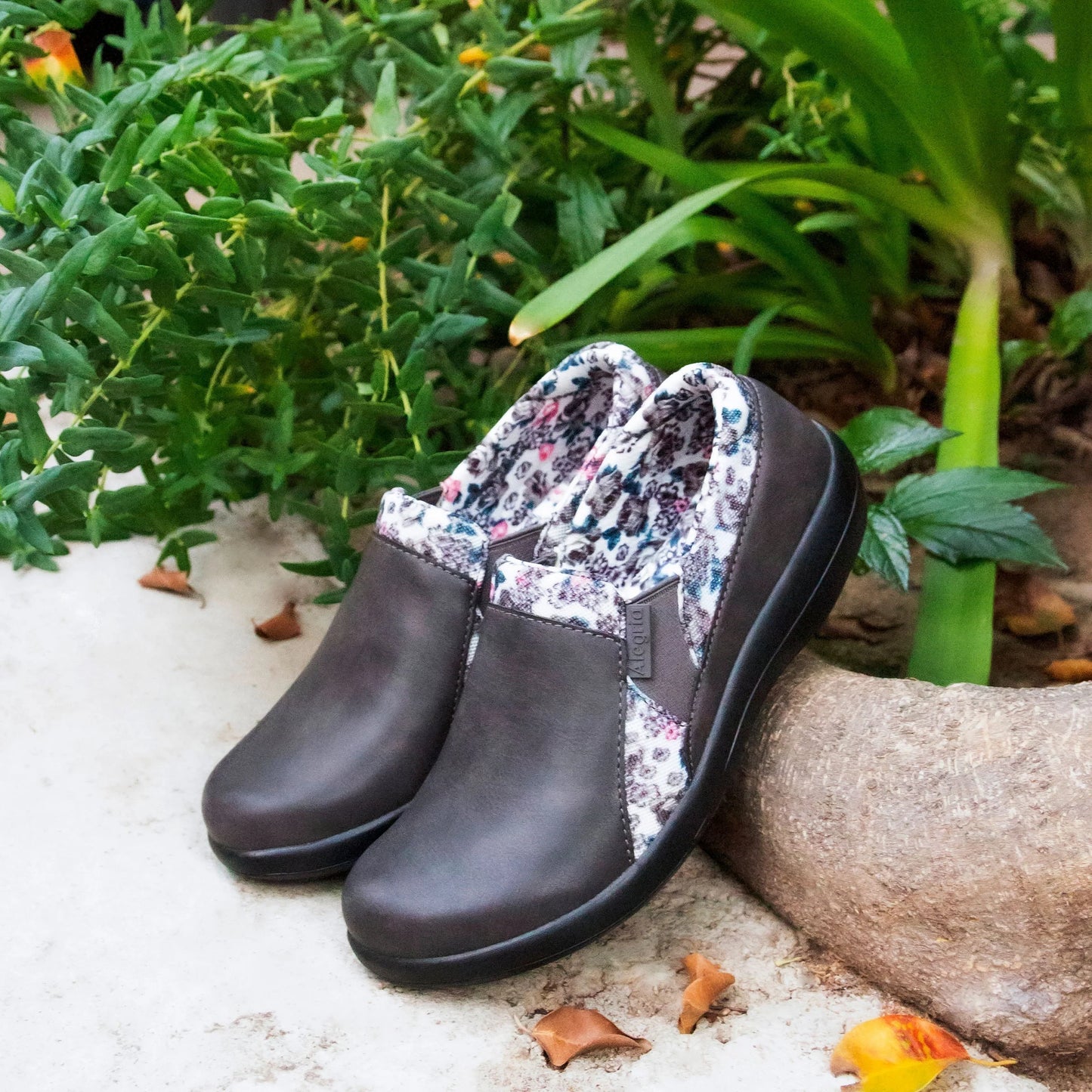 CLEARANCE - Alegria - Duette