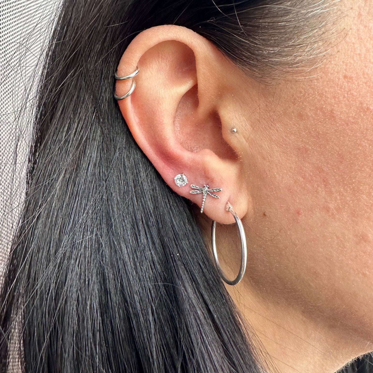 Silver Oxidized Dragonfly Studs